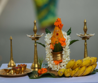 தைப் பொங்கல் பண்டிகை கொண்டாட்டம்.