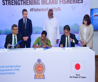 “I appreciate the grant of 3 Million Dollars provided by Japan through the World Food and Agricultural Organization (FAO)  to develop the Freshwater Fishing Industry in Sri Lanka.” Says Fisheries Minister Douglas Devananda.