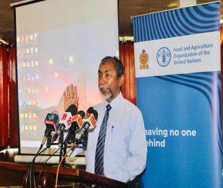 FAO සහයෝගයෙන් අම්පාර ජලජීවී වගාවට නව ජවයක්: ‘වැව අපේ කම්හලයි’ සංකල්පය තවදුරටත් ශක්තිමත් කෙරේ