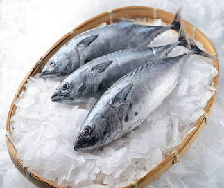 Fresh fish at reasonable prices from Ceylon  Fisheries Corporation and Frozen Fish packets of  300/400 gram that can be carried in hand bags are soon to be introduced.