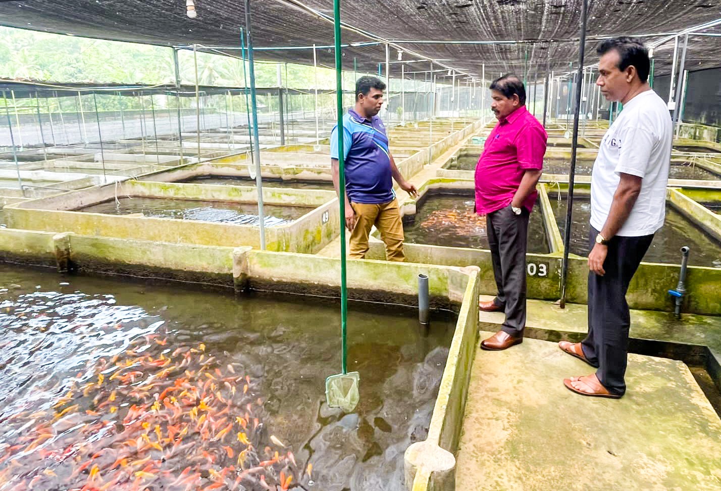 PHOTO 2025 11 03 11 31 00