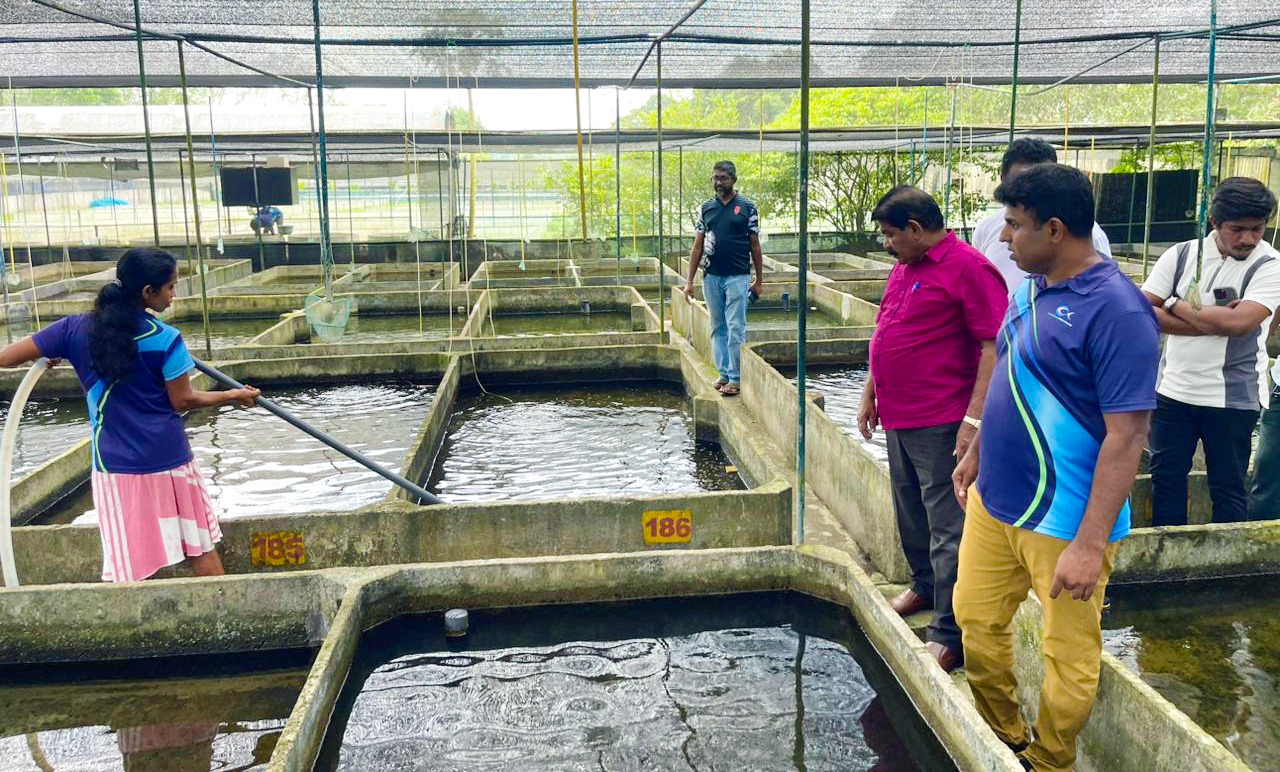 PHOTO 2025 11 03 11 31 01