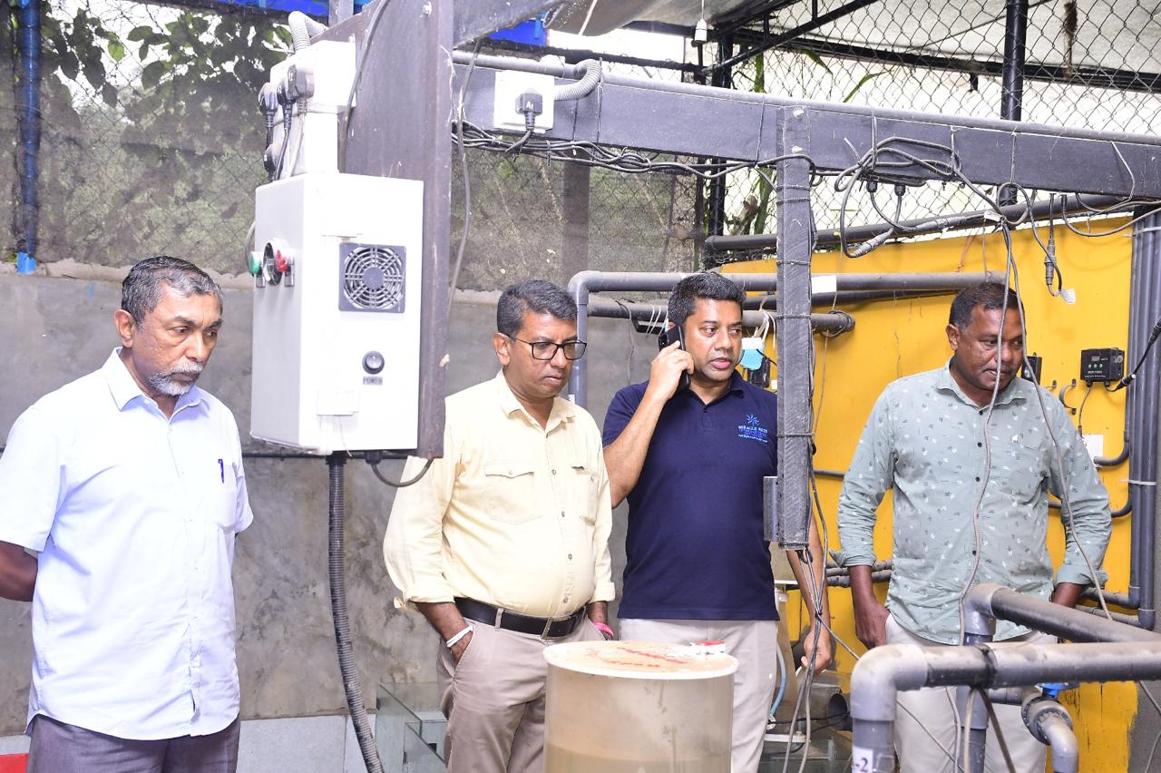 WhatsApp Image 2025 12 05 at 17.48.37