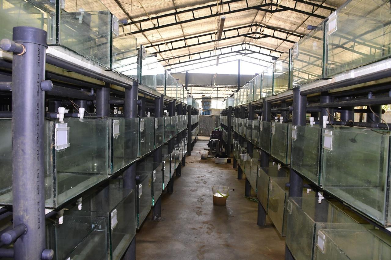 WhatsApp Image 2025 12 05 at 17.48.40