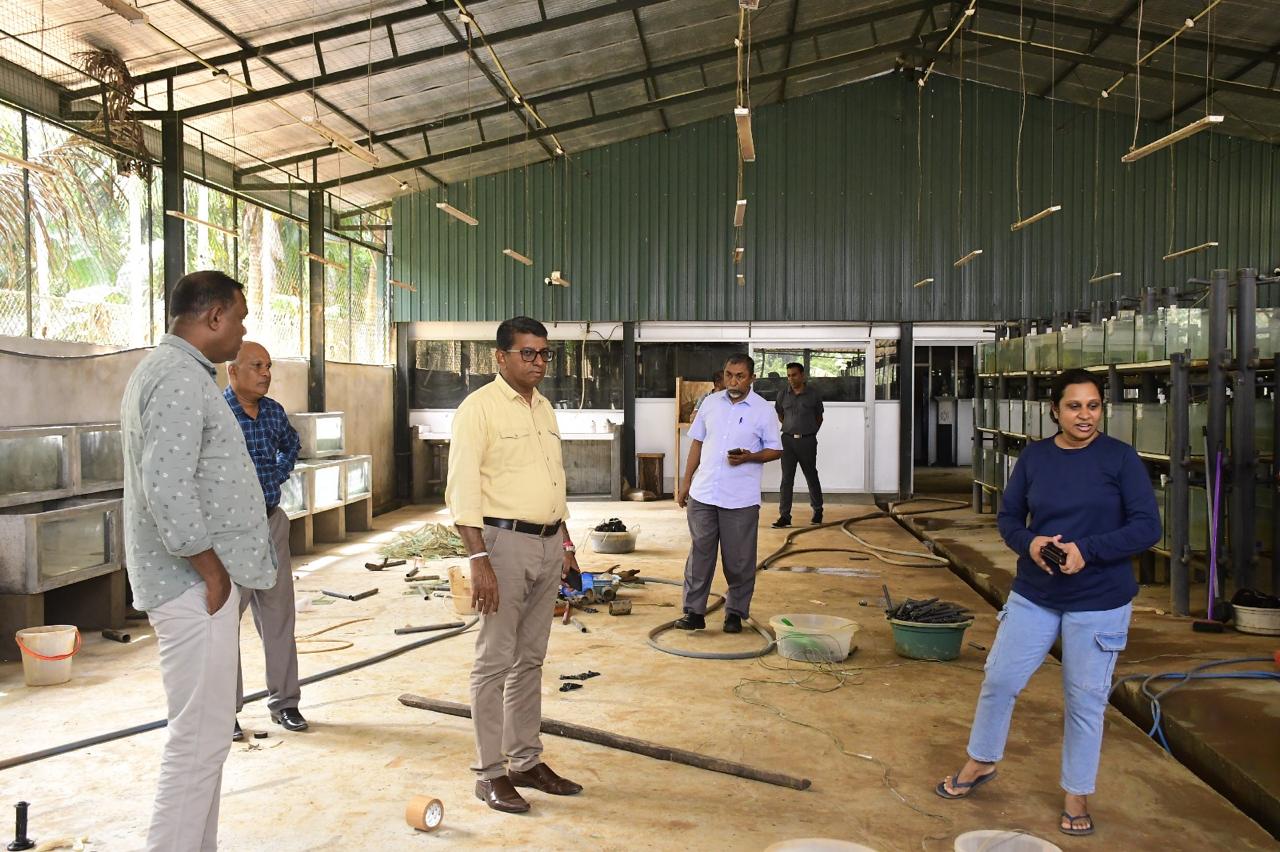 WhatsApp Image 2025 12 05 at 17.48.40 1