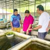 Current Minister - Observation visit at Haritha Ornamental Fish Production Farm in Padukka